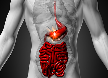 Celiac Disease and Leaky Gut | Choices Market